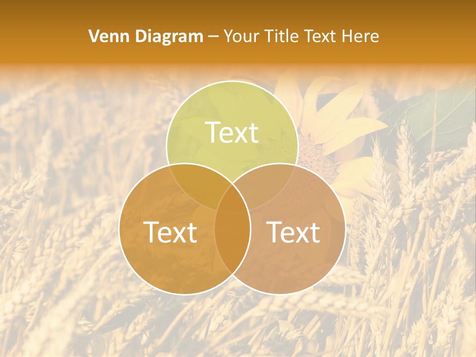 Wheat And Sunflower PowerPoint Template