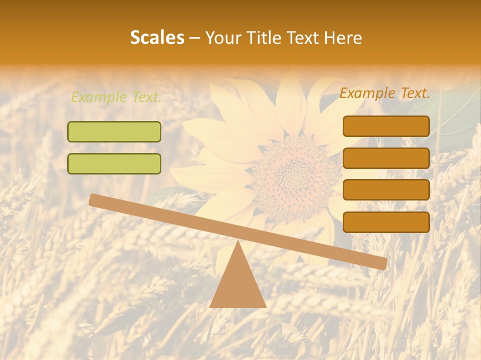 Wheat And Sunflower PowerPoint Template