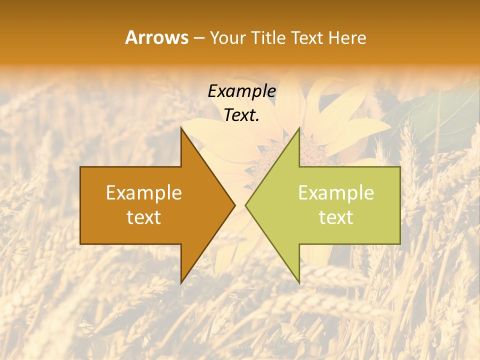 Wheat And Sunflower PowerPoint Template