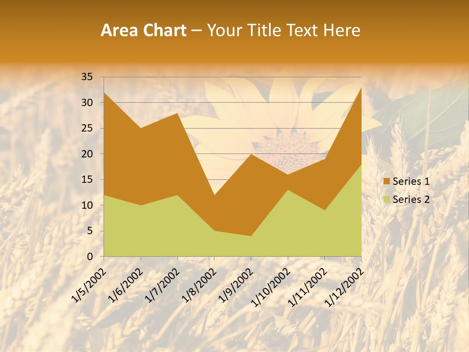 Wheat And Sunflower PowerPoint Template