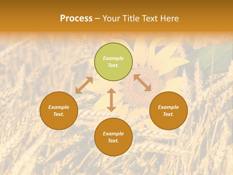 Wheat And Sunflower PowerPoint Template