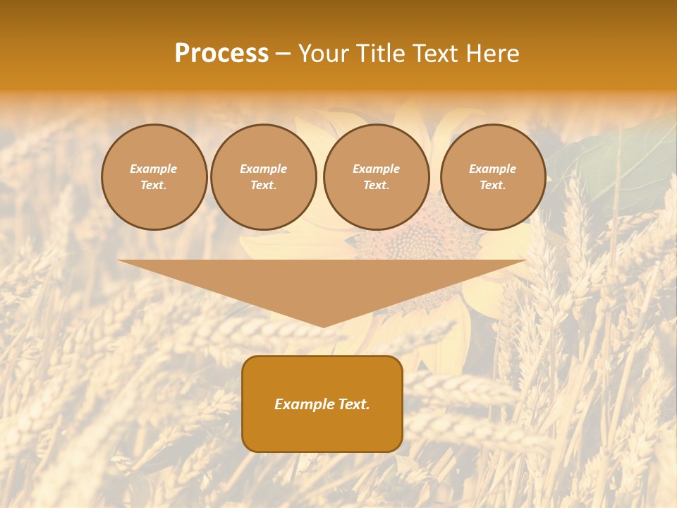 Wheat And Sunflower PowerPoint Template