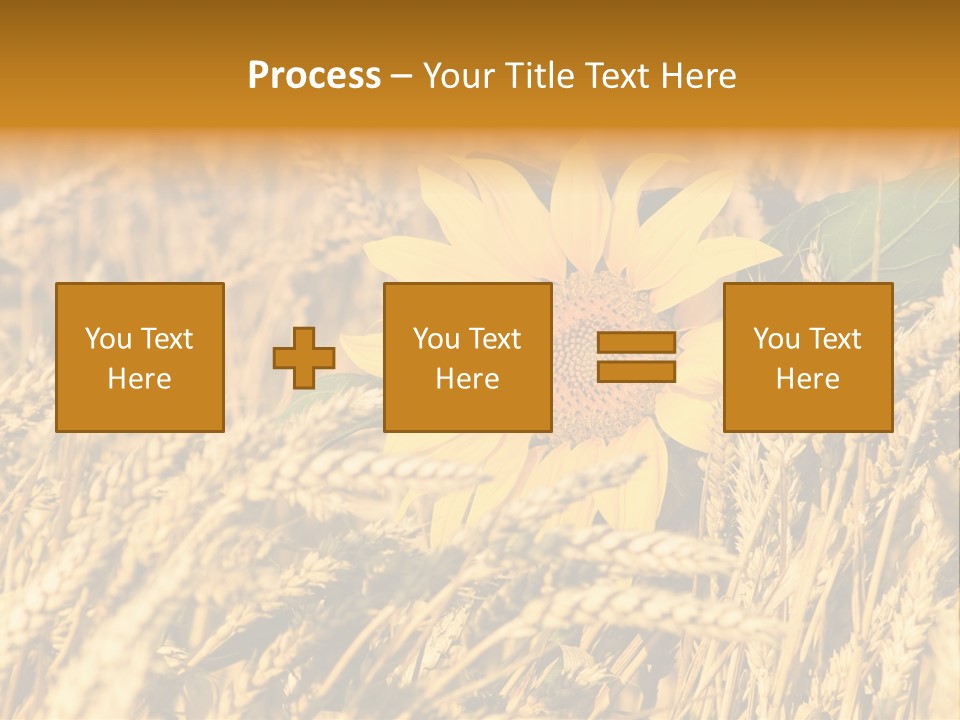 Wheat And Sunflower PowerPoint Template