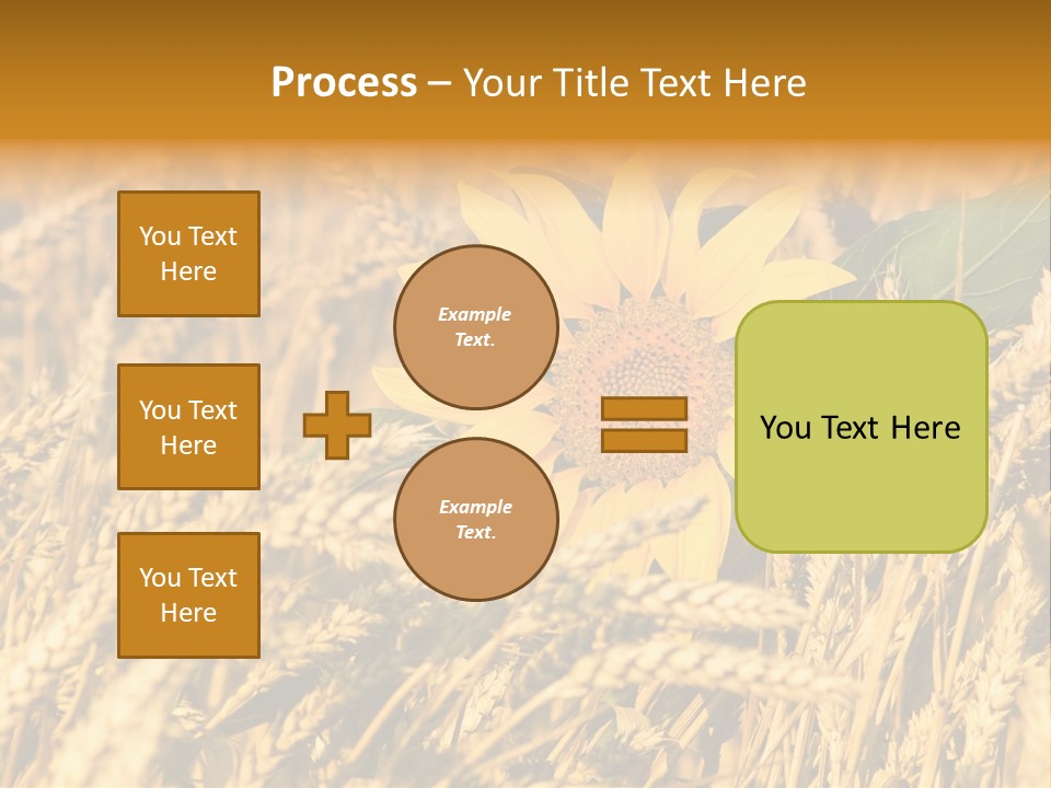 Wheat And Sunflower PowerPoint Template