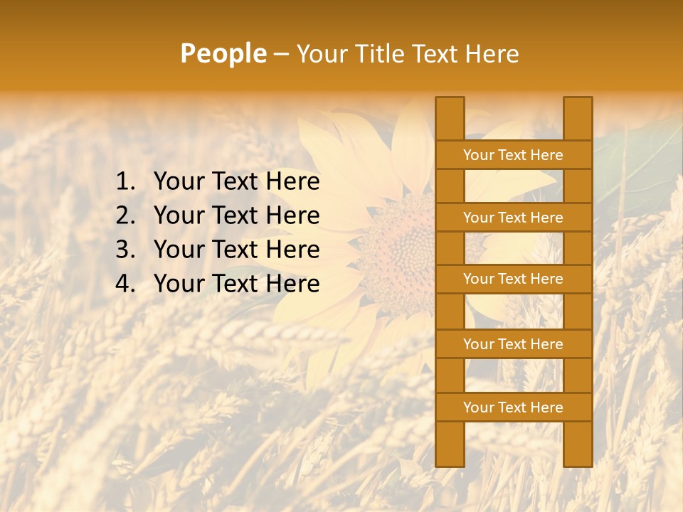 Wheat And Sunflower PowerPoint Template