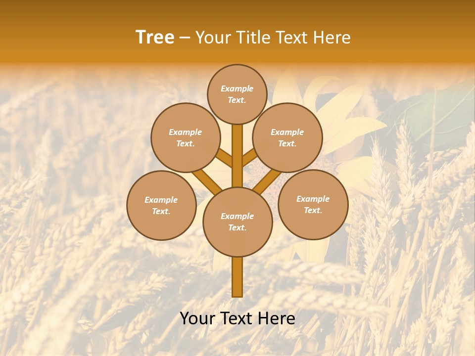 Wheat And Sunflower PowerPoint Template