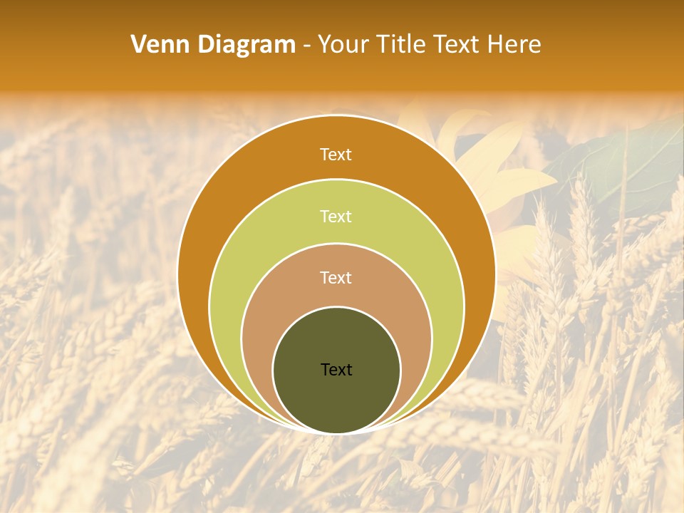 Wheat And Sunflower PowerPoint Template