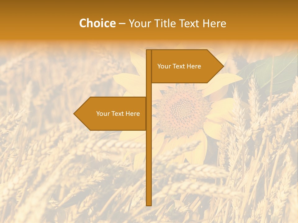 Wheat And Sunflower PowerPoint Template