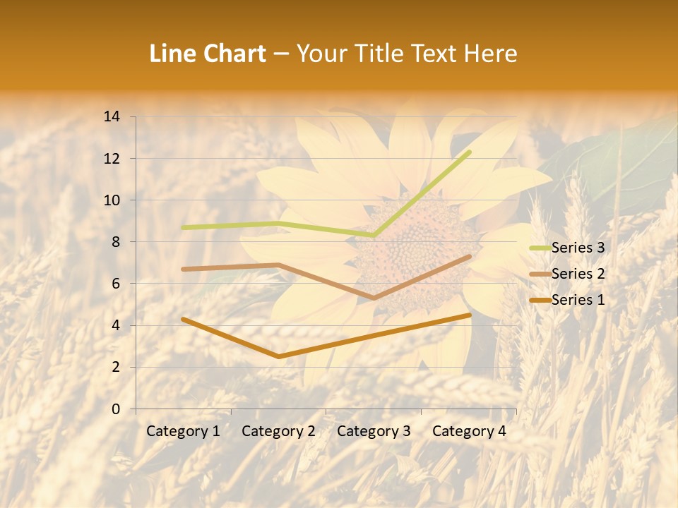 Wheat And Sunflower PowerPoint Template
