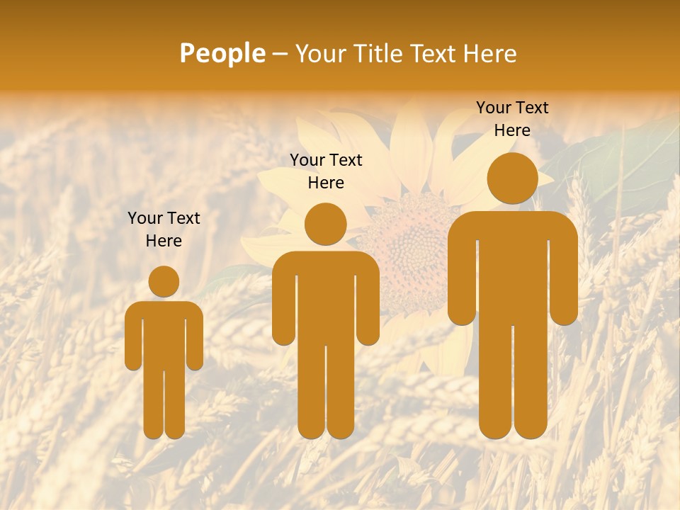 Wheat And Sunflower PowerPoint Template