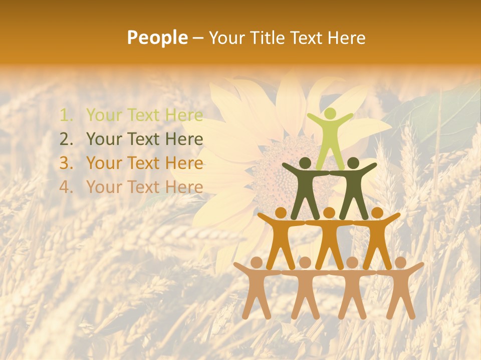 Wheat And Sunflower PowerPoint Template