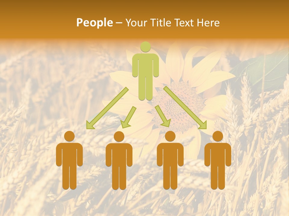 Wheat And Sunflower PowerPoint Template