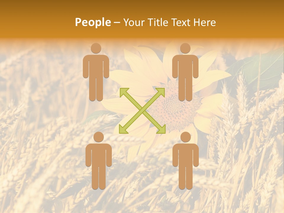 Wheat And Sunflower PowerPoint Template