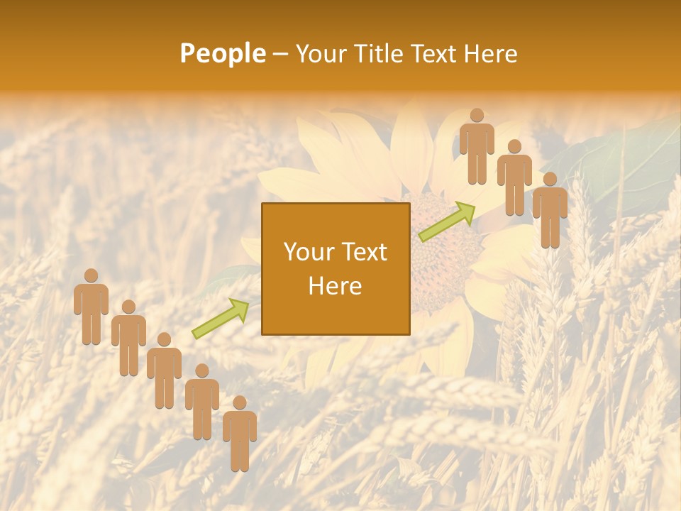 Wheat And Sunflower PowerPoint Template