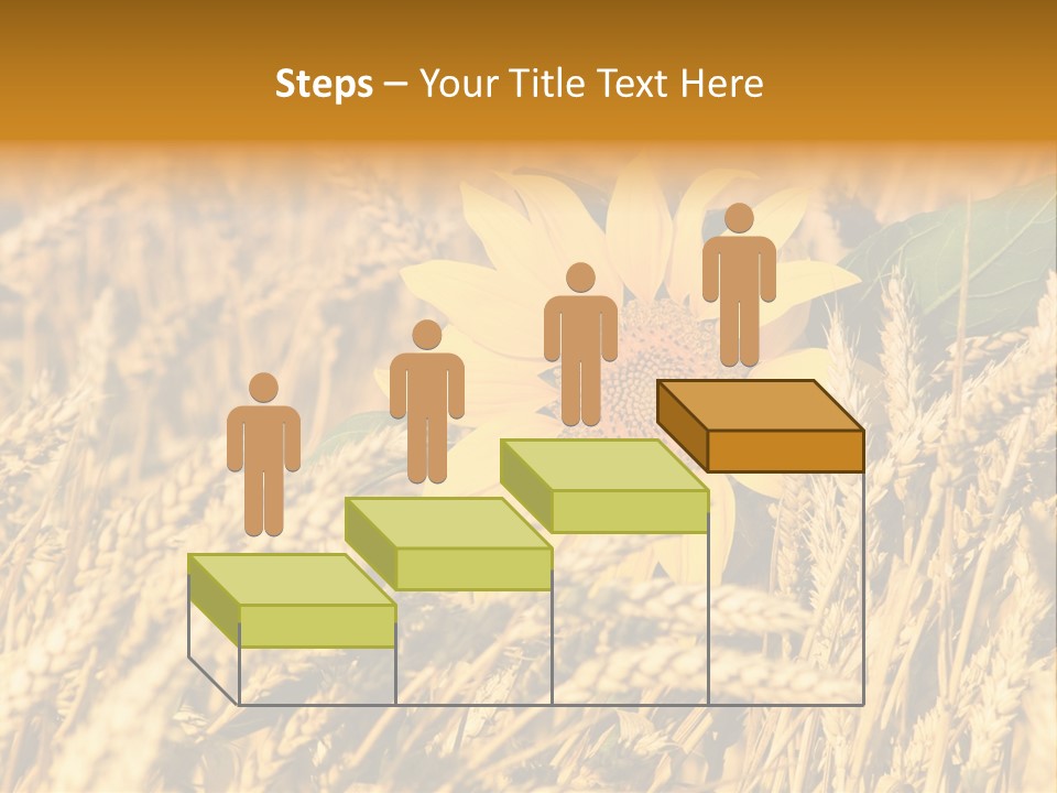 Wheat And Sunflower PowerPoint Template
