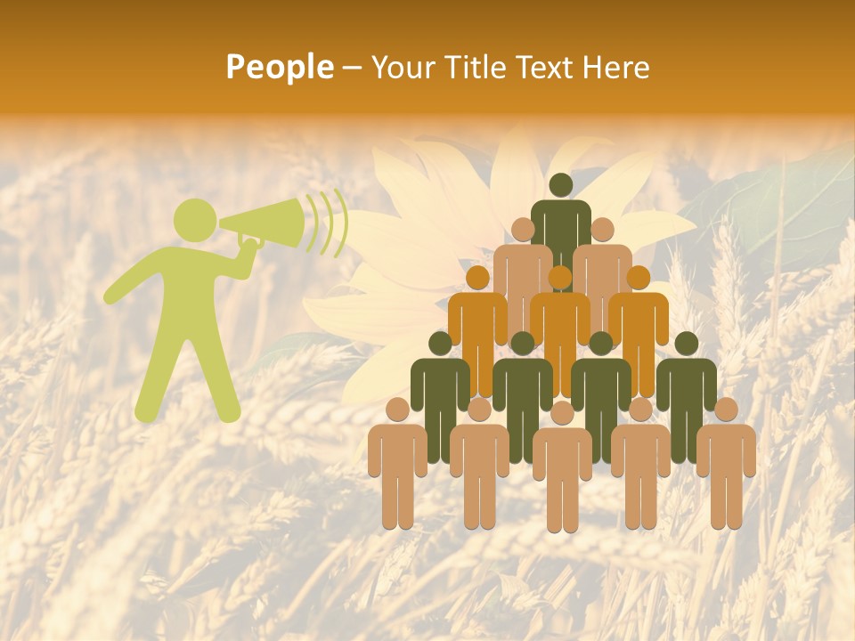Wheat And Sunflower PowerPoint Template