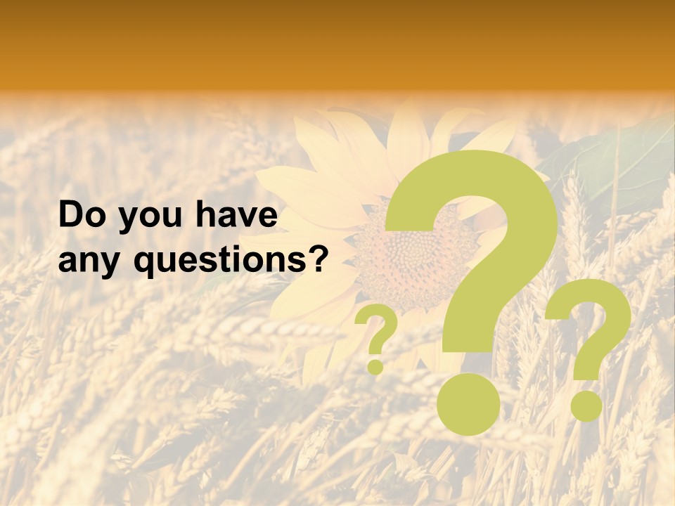 Wheat And Sunflower PowerPoint Template