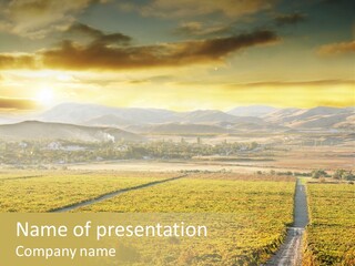 Pastoral Rural Fruit PowerPoint Template