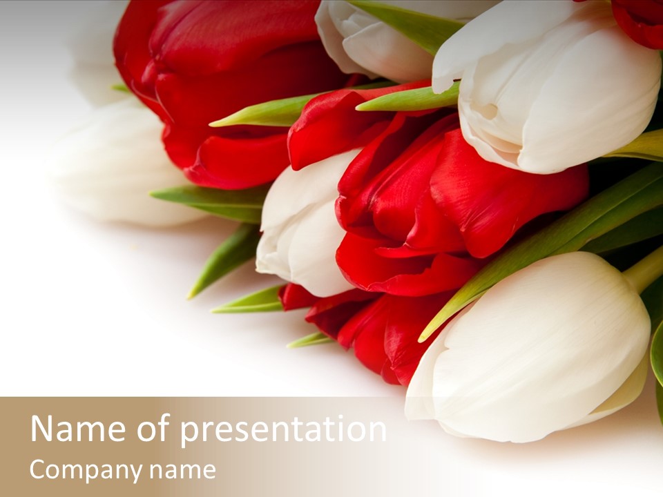 Surprise Spring Nature PowerPoint Template