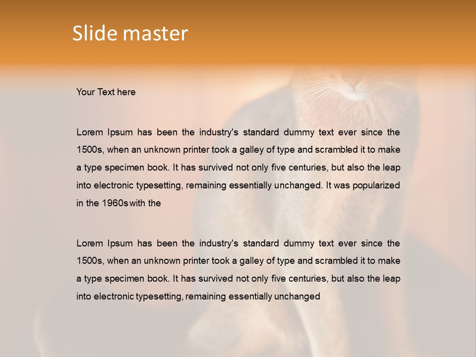 Abyssinian Cat PowerPoint Template