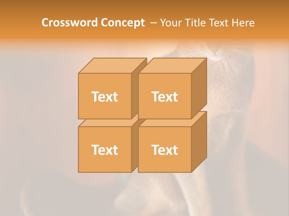 Abyssinian Cat PowerPoint Template