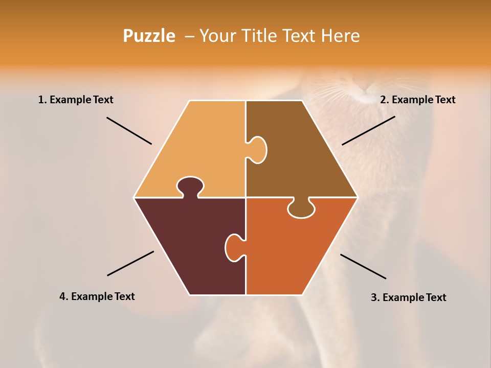 Abyssinian Cat PowerPoint Template