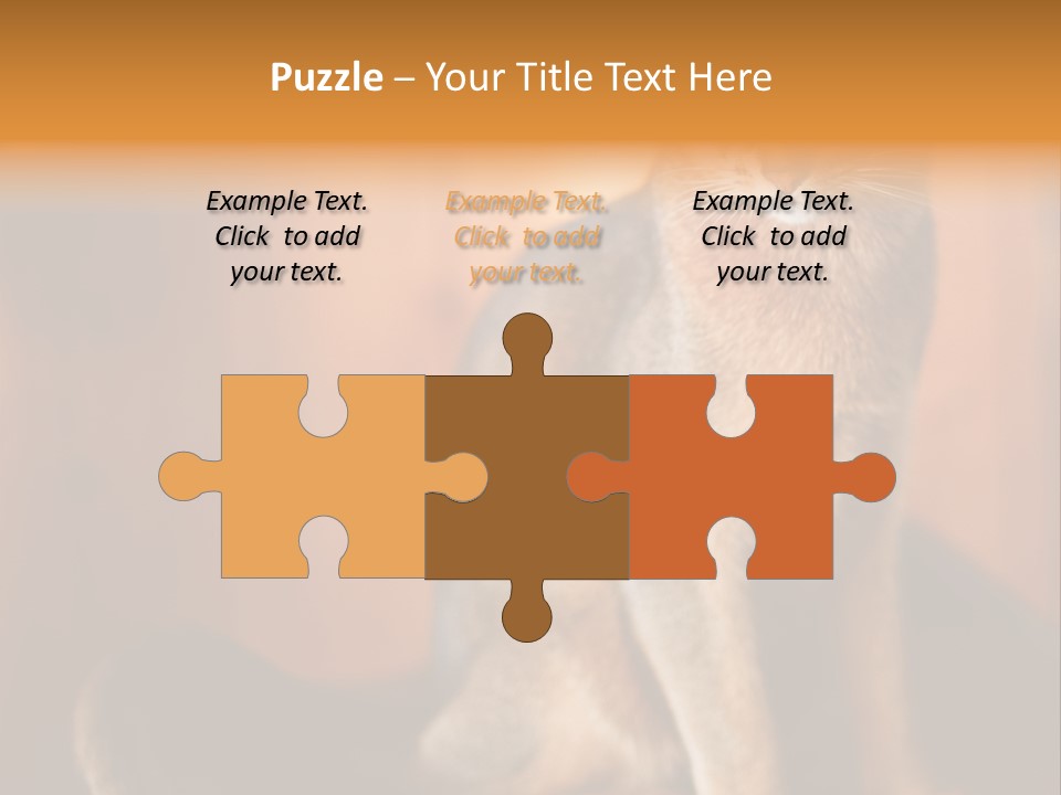 Abyssinian Cat PowerPoint Template