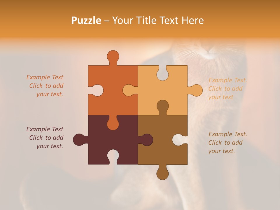 Abyssinian Cat PowerPoint Template