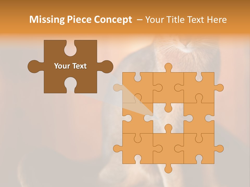 Abyssinian Cat PowerPoint Template