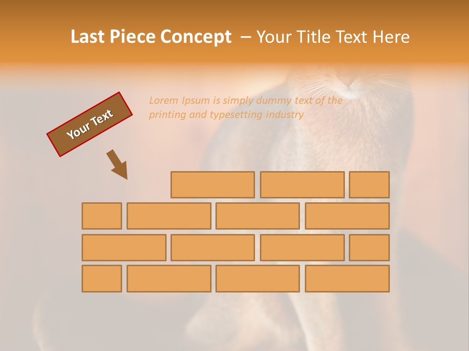Abyssinian Cat PowerPoint Template