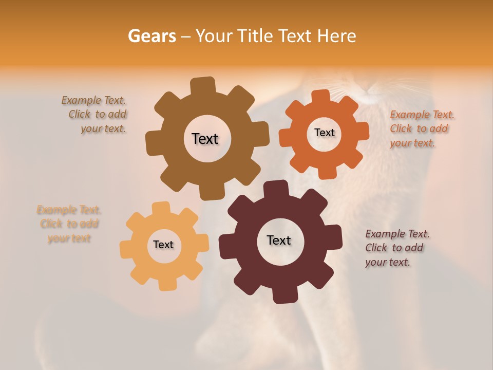 Abyssinian Cat PowerPoint Template