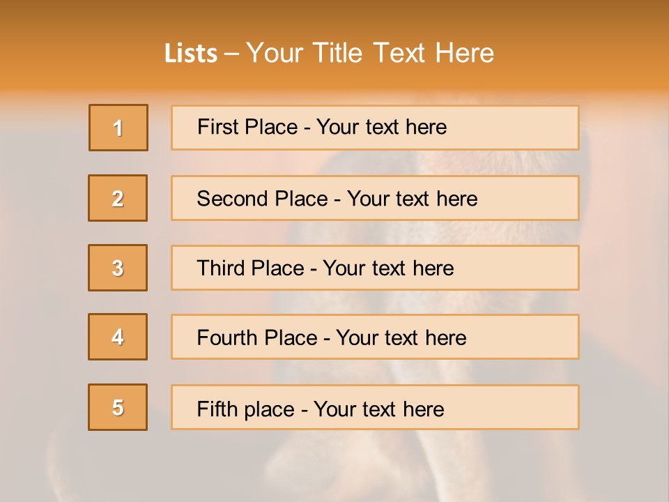 Abyssinian Cat PowerPoint Template