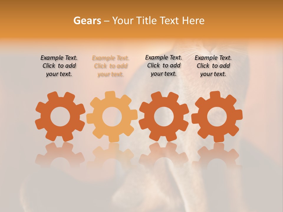 Abyssinian Cat PowerPoint Template