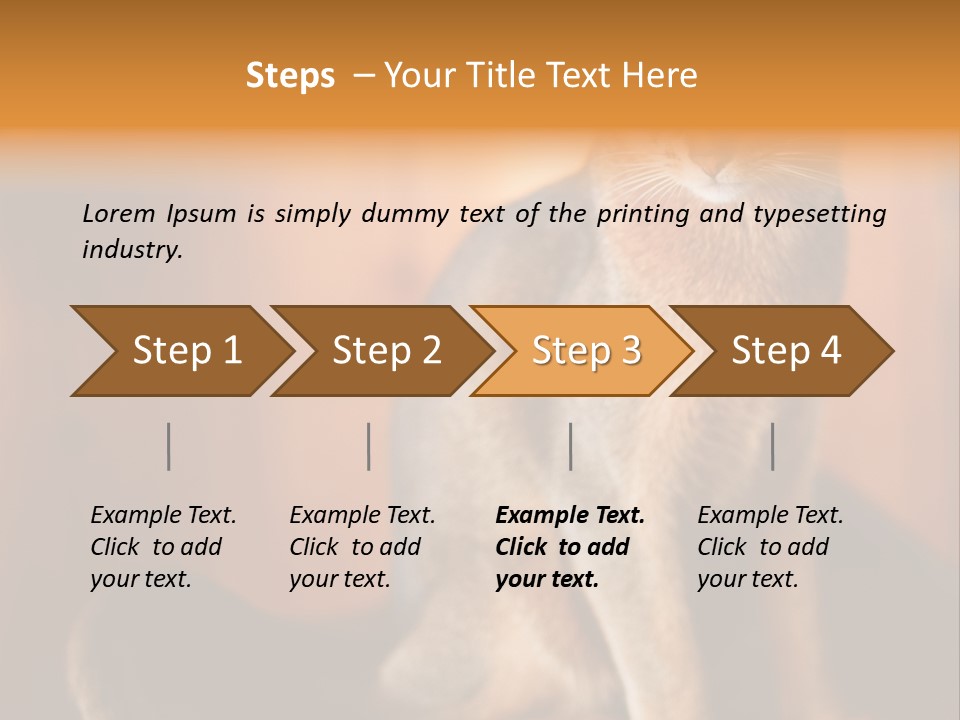 Abyssinian Cat PowerPoint Template