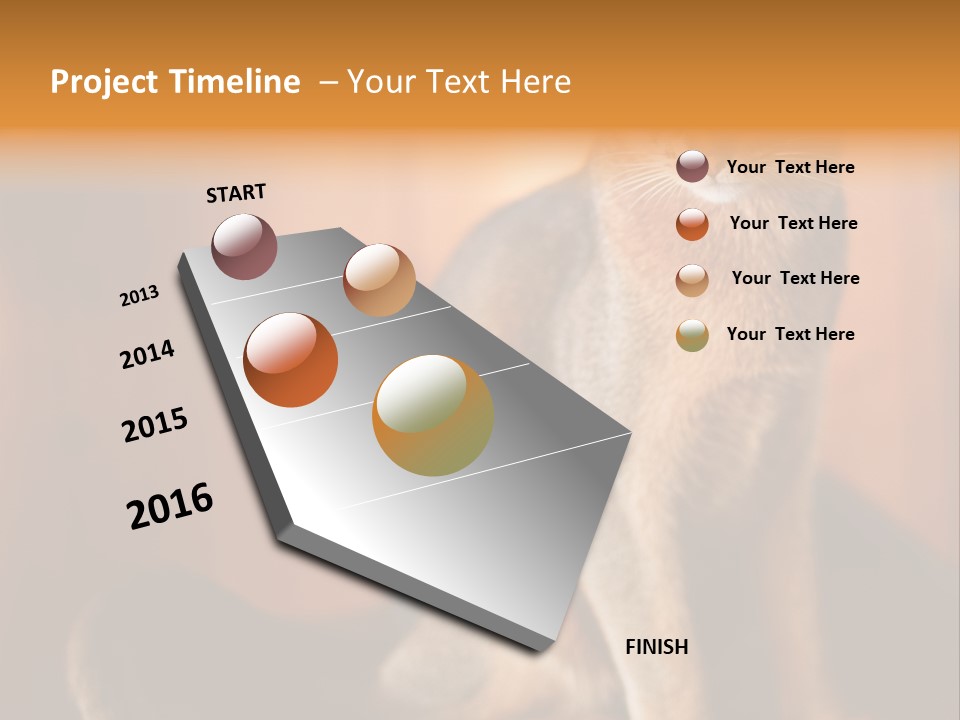 Abyssinian Cat PowerPoint Template