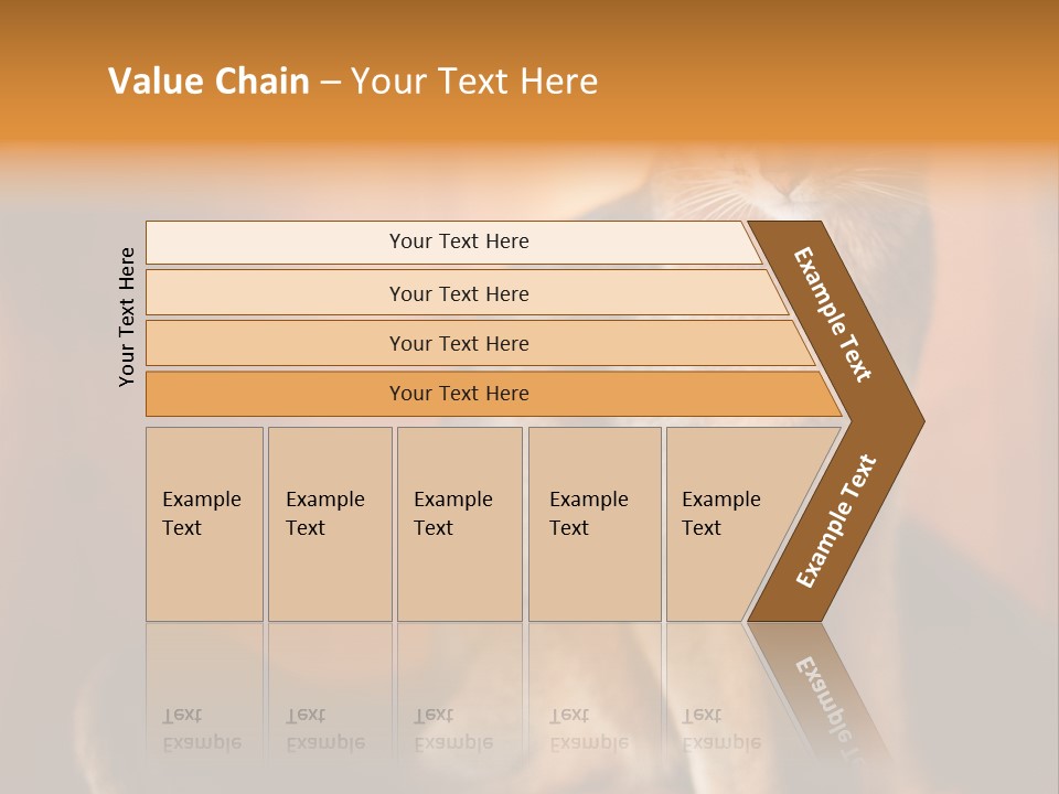 Abyssinian Cat PowerPoint Template