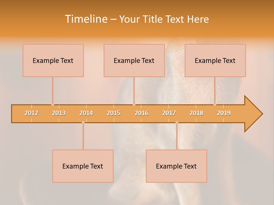 Abyssinian Cat PowerPoint Template