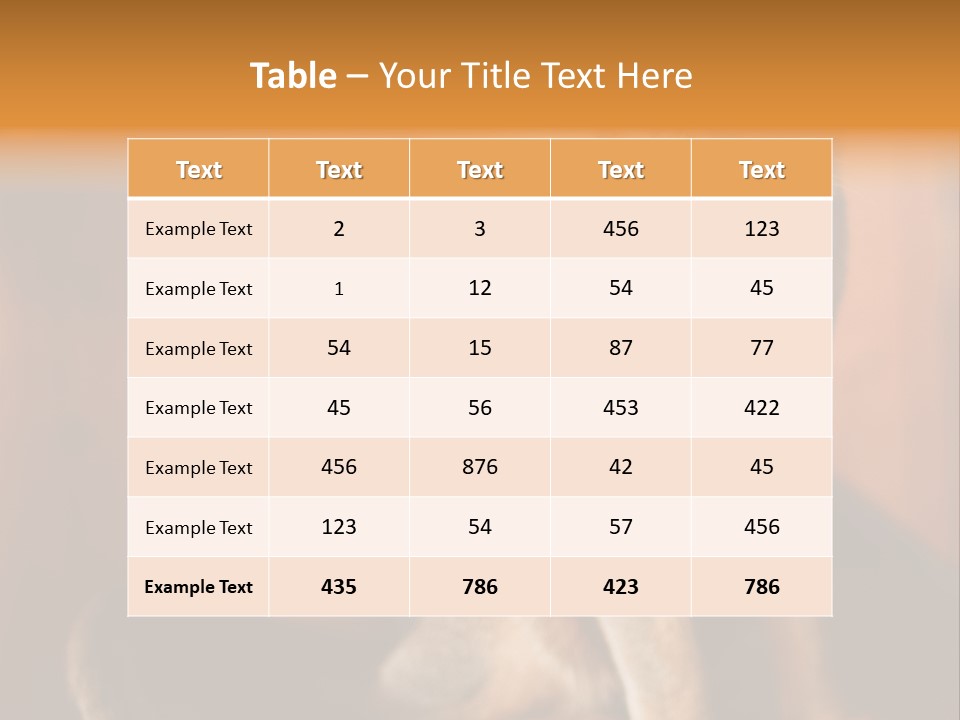 Abyssinian Cat PowerPoint Template