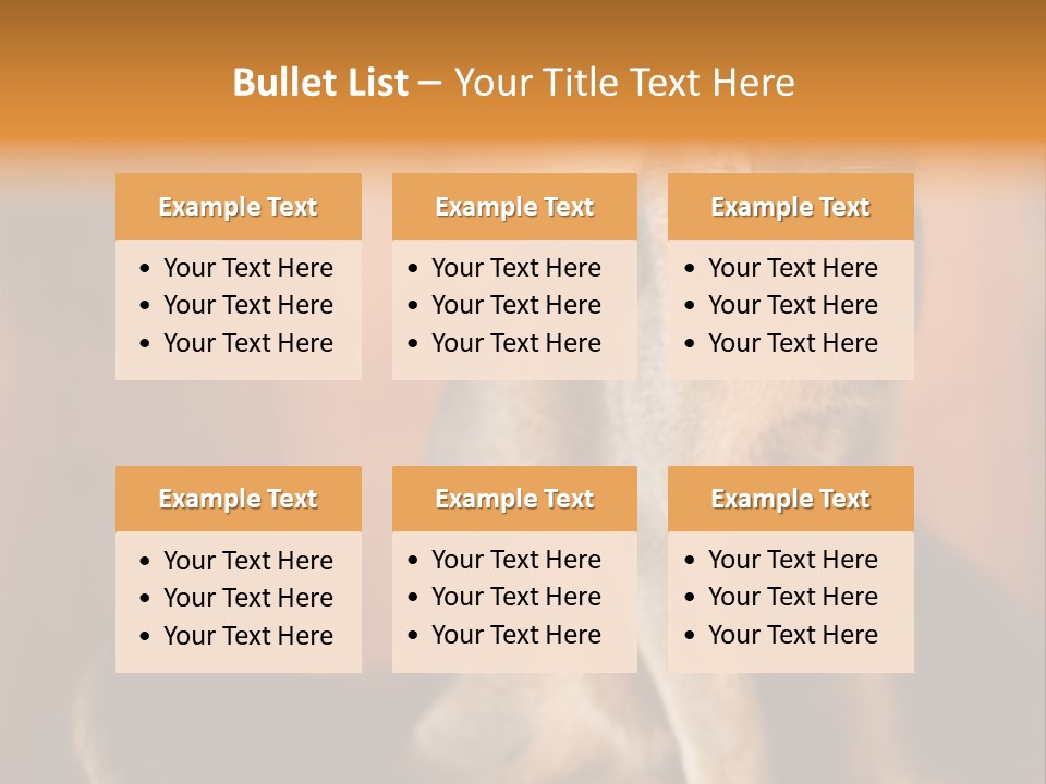 Abyssinian Cat PowerPoint Template