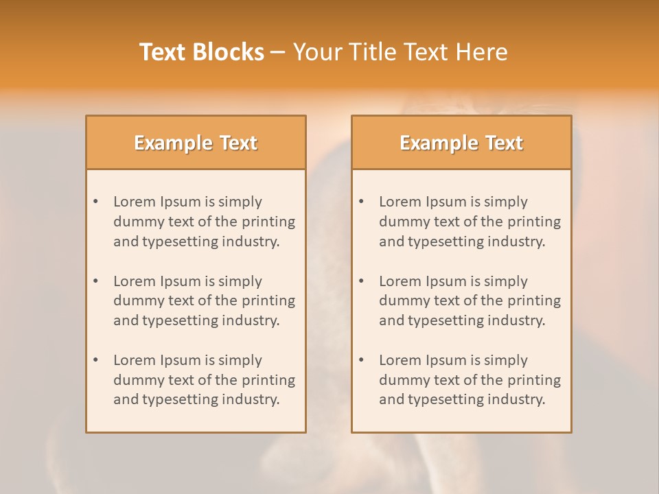 Abyssinian Cat PowerPoint Template