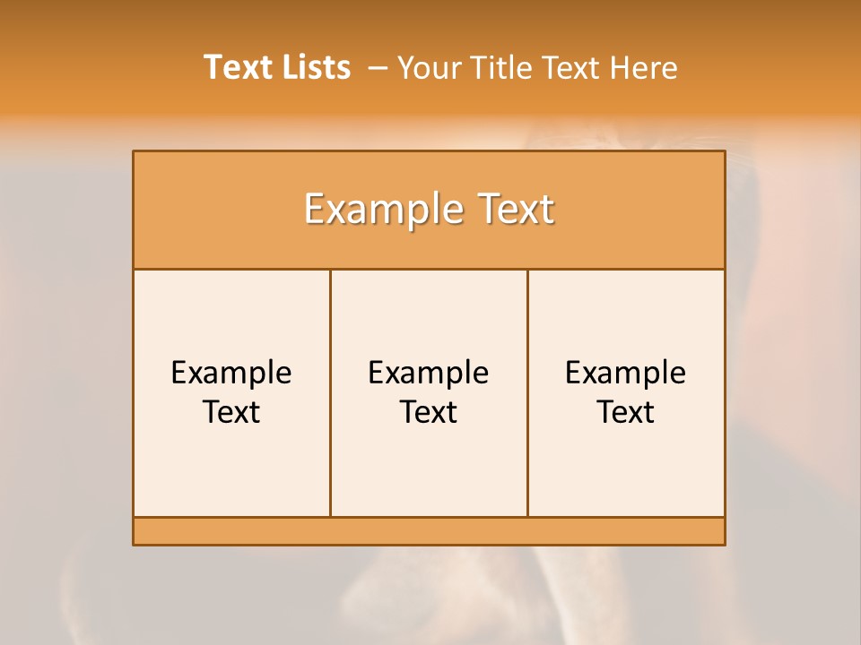 Abyssinian Cat PowerPoint Template