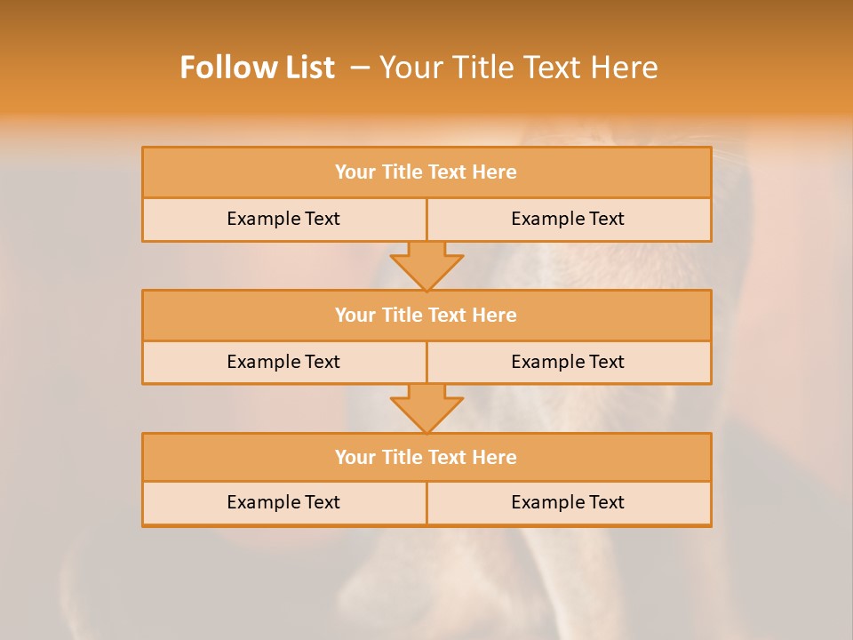 Abyssinian Cat PowerPoint Template