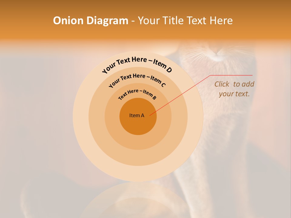 Abyssinian Cat PowerPoint Template