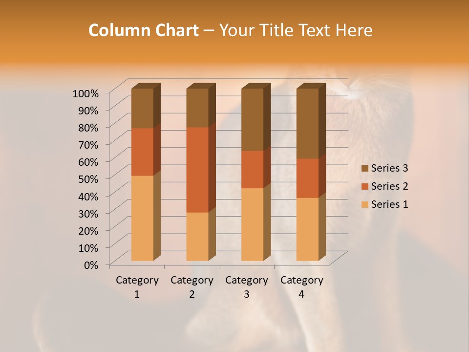 Abyssinian Cat PowerPoint Template