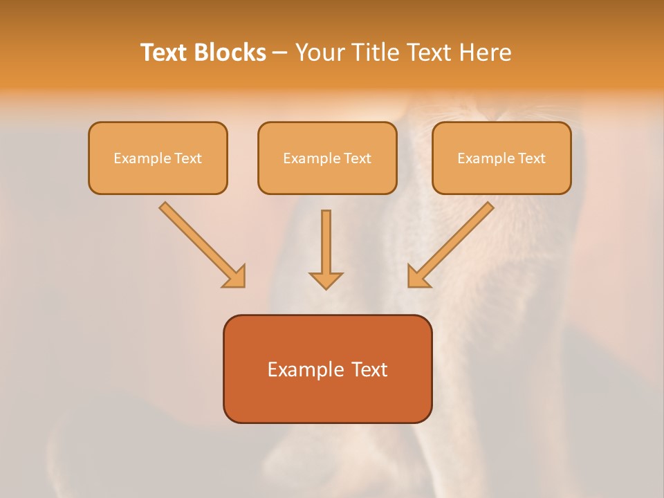 Abyssinian Cat PowerPoint Template