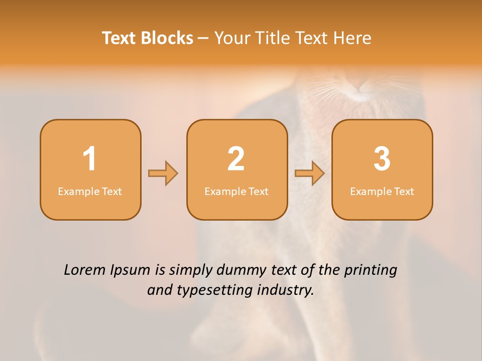 Abyssinian Cat PowerPoint Template