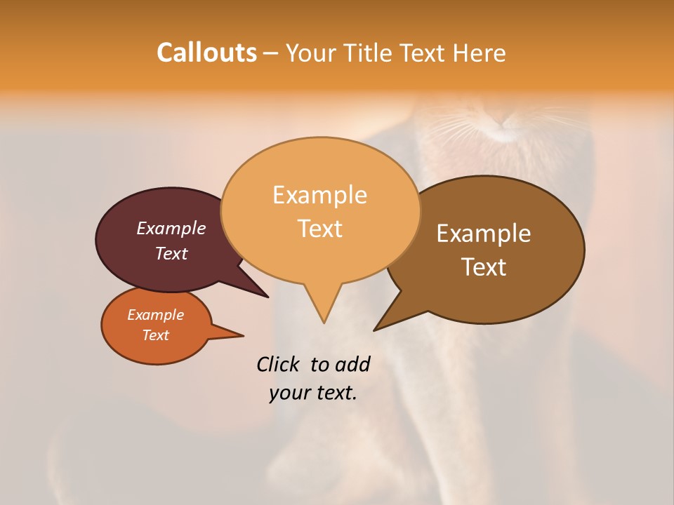 Abyssinian Cat PowerPoint Template