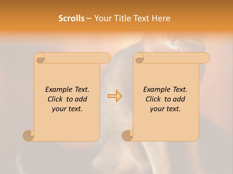 Abyssinian Cat PowerPoint Template