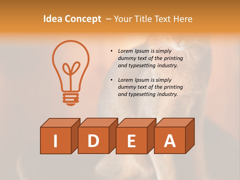 Abyssinian Cat PowerPoint Template