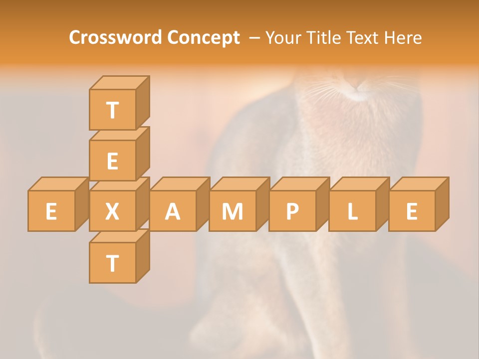 Abyssinian Cat PowerPoint Template